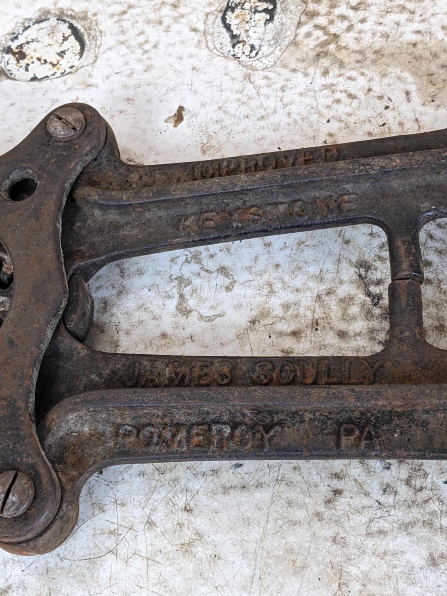 Vintage Bull DeHorner