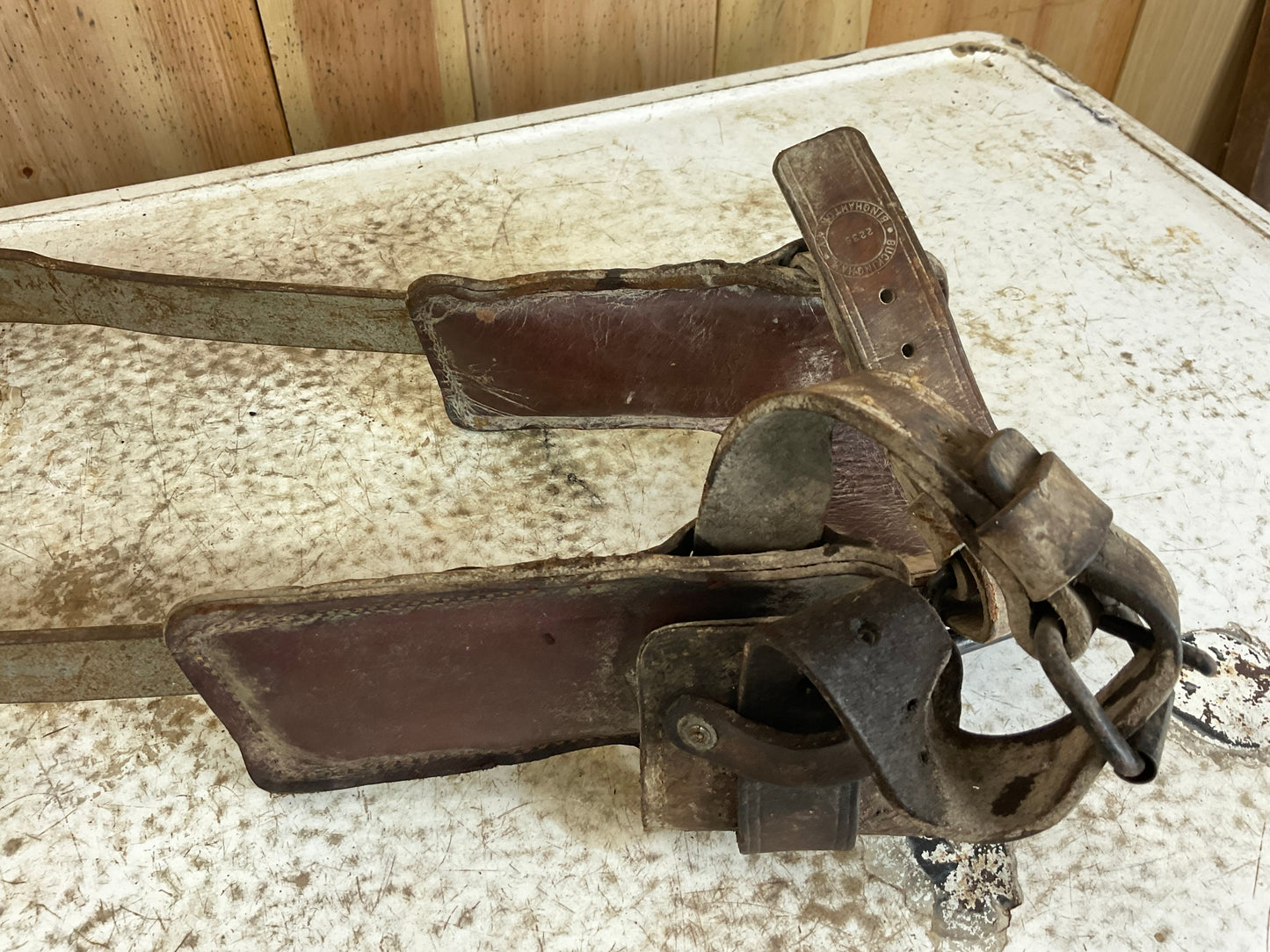Pair of Vintage Tree Climbing Spikes