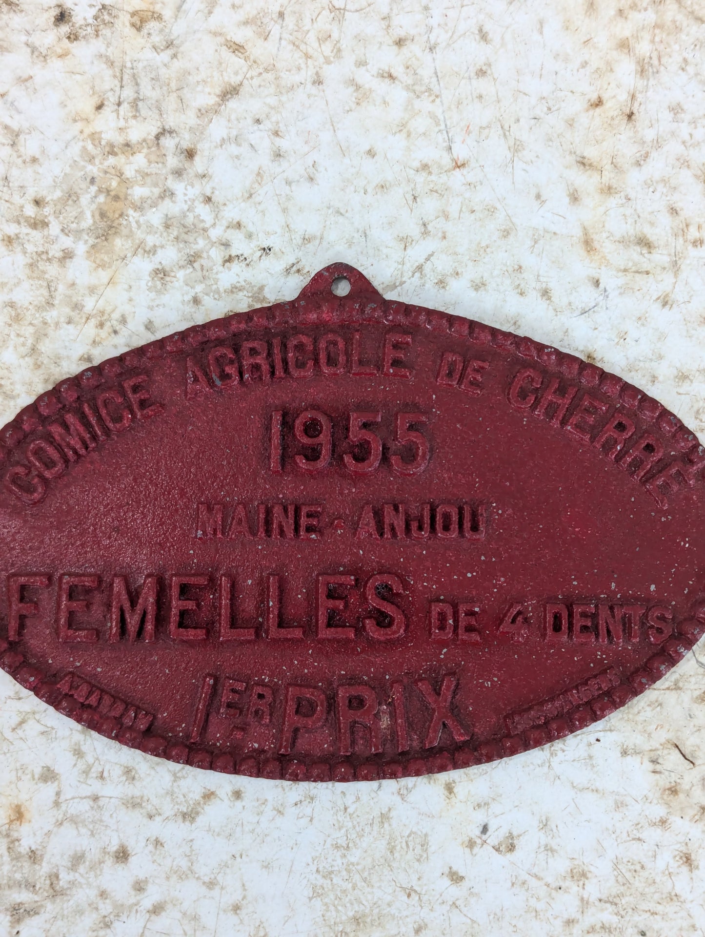 Vintage Festival Award