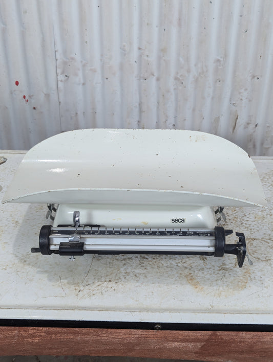 Vintage Seca Nursery Scale