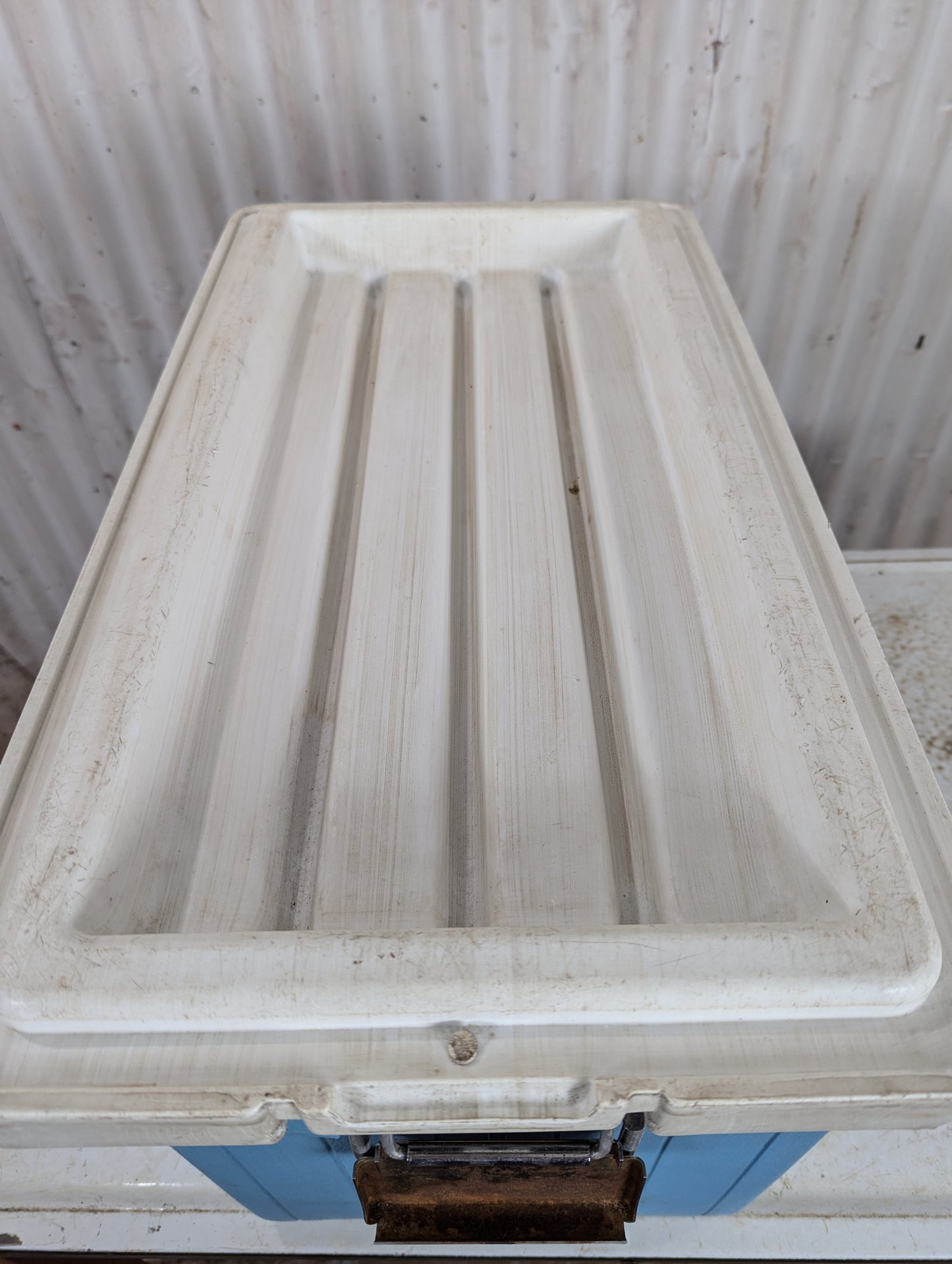 Coleman Cooler