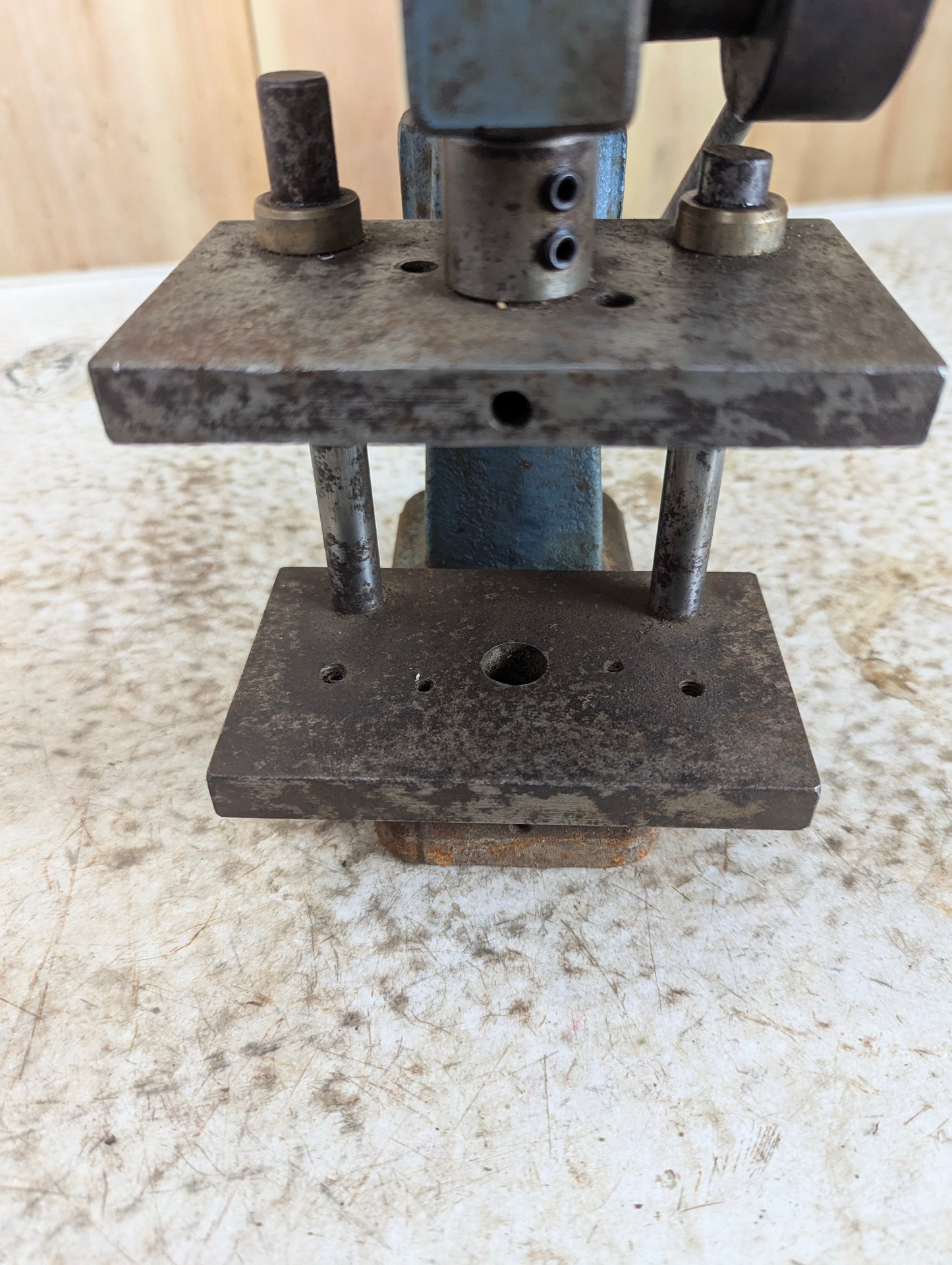 Vintage Arbor Press