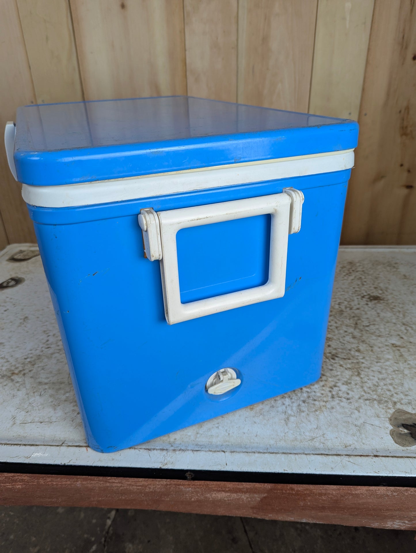 Vintage Coleman LowBoy Cooler