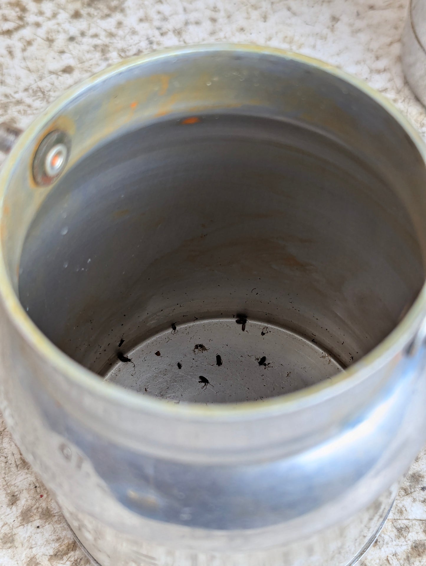 Vintage Binks Model 19 Paint Spray Gun with Extra Can