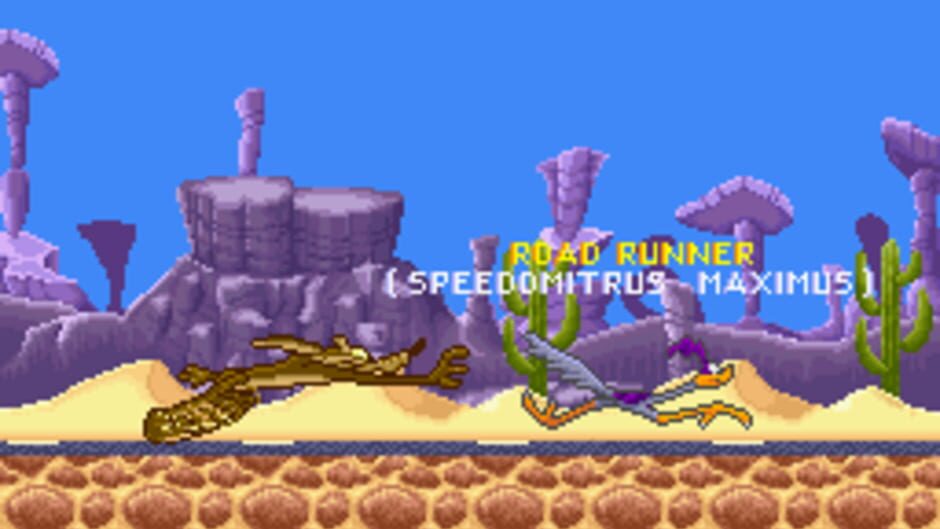 Road Runner's Death Valley Rally (SNES) - view 4