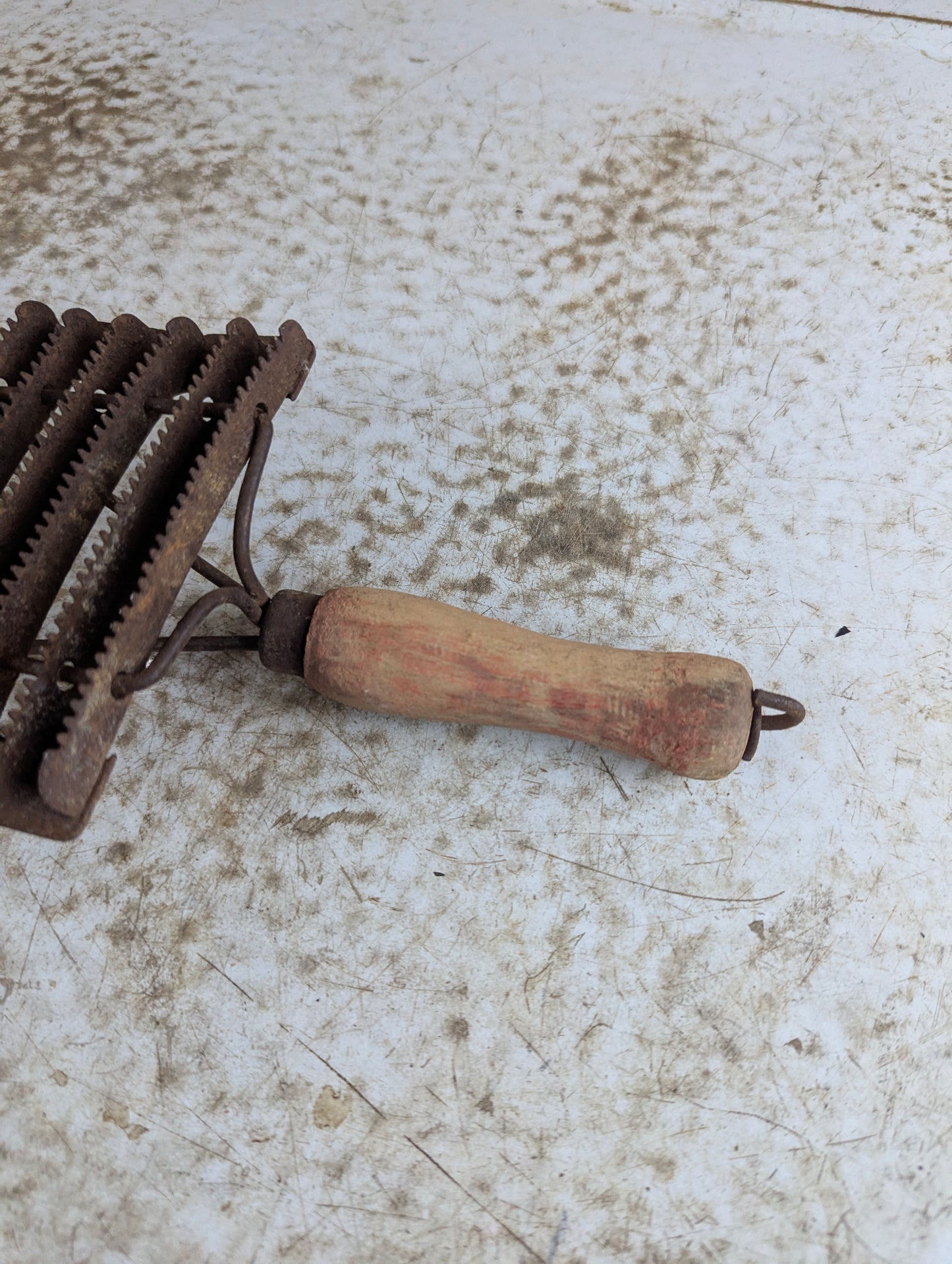 Vintage Horse Grooming Curry Comb - view 3