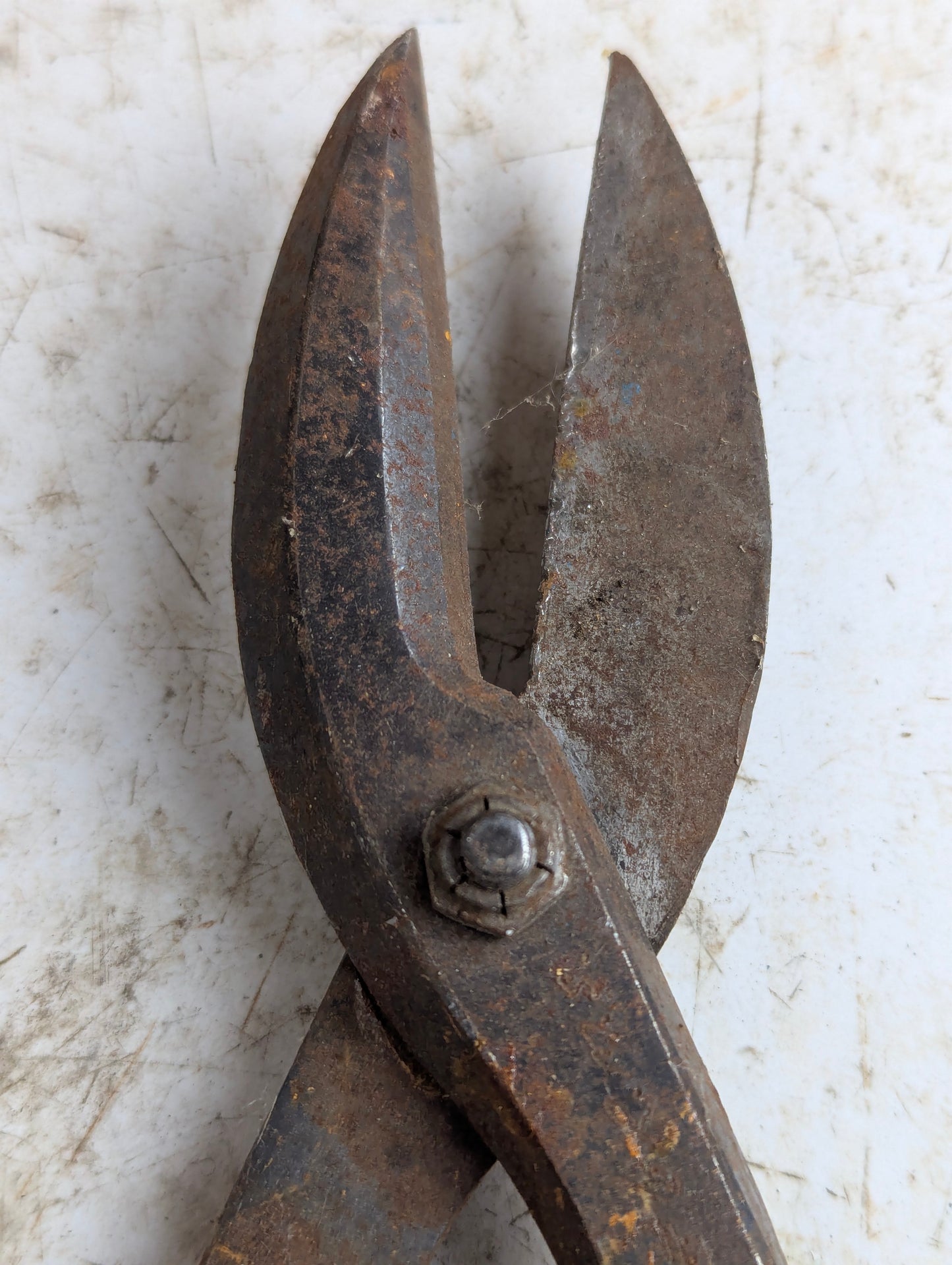 Vintage Tin Snips - view 3
