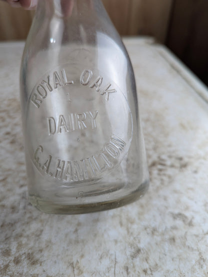 Vintage Royal Oak Dairy Hamilton Embossed Leaf Pint Milk Bottle