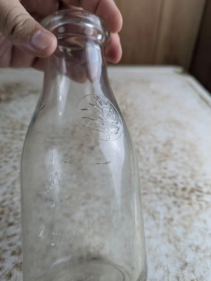 Vintage Royal Oak Dairy Hamilton Embossed Leaf Pint Milk Bottle