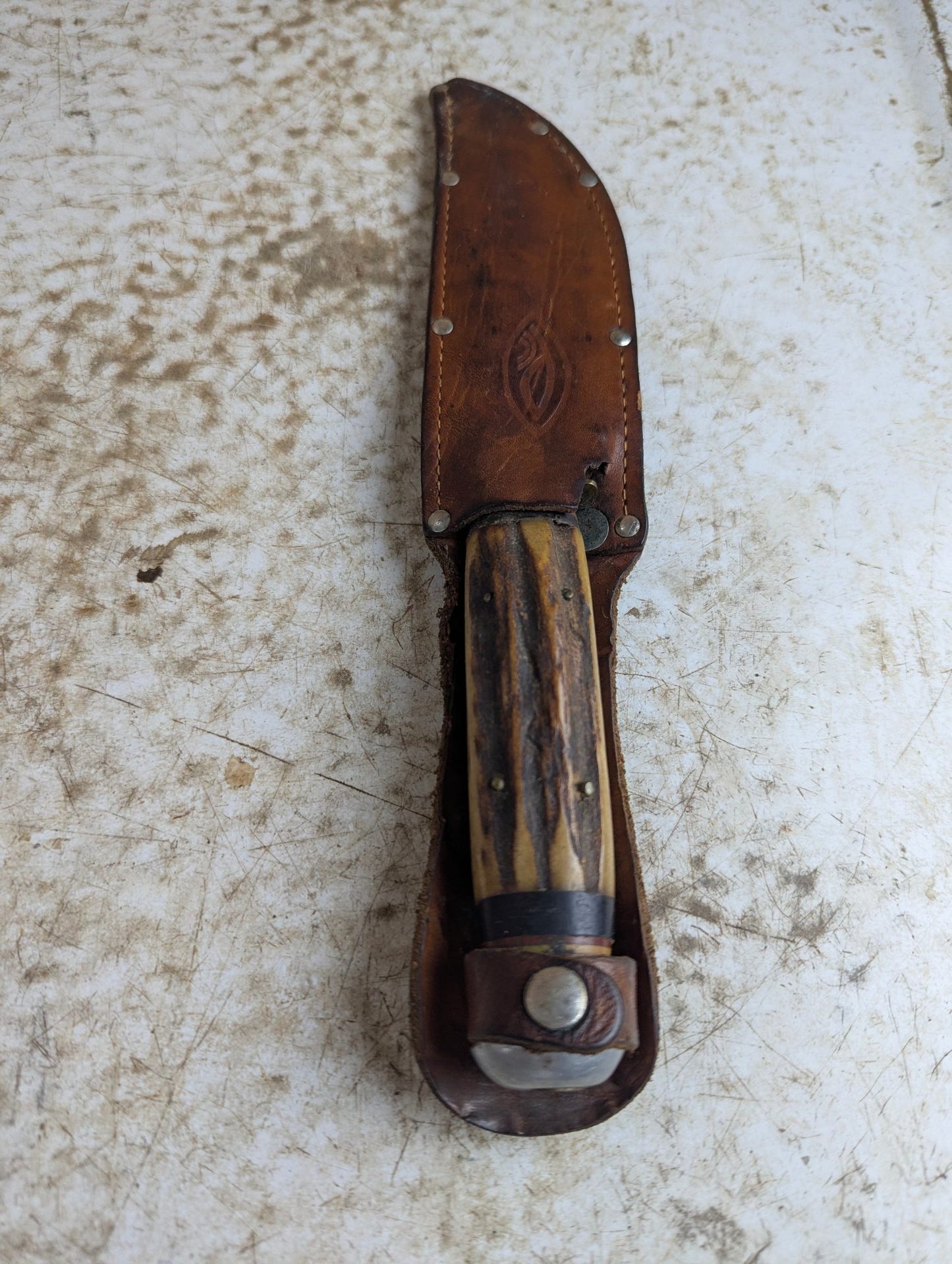 Vintage German Stag Handle Hunting Knife Solingen H73 with Leather Sheath