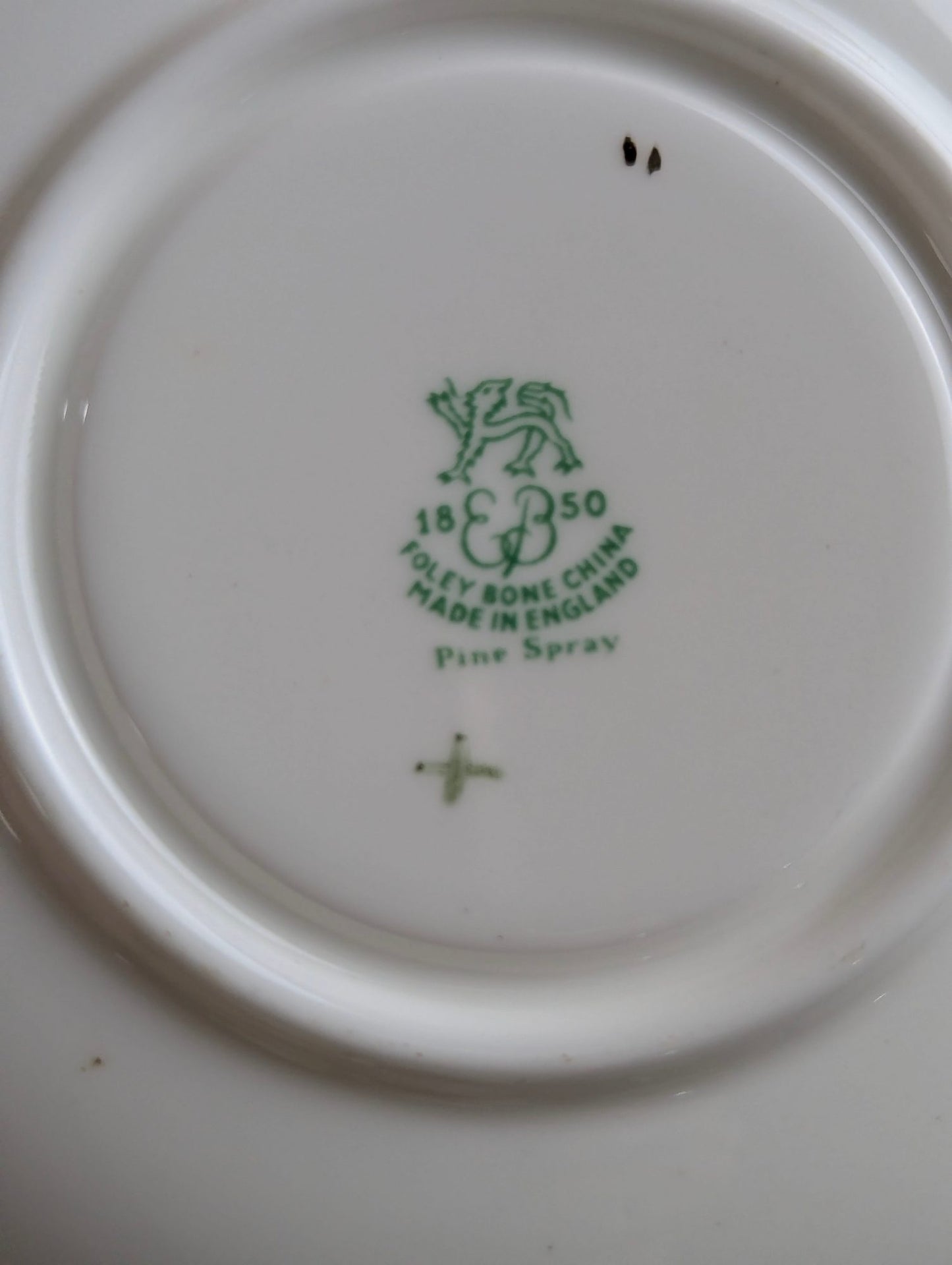 Vintage Foley Bone China Pine Spray Teacup and Saucer Set
