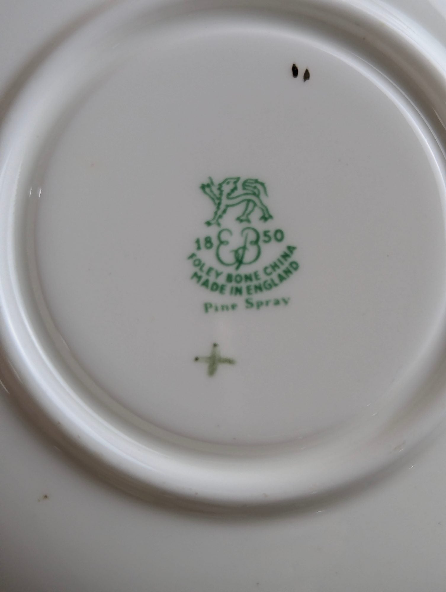 Vintage Foley Bone China Pine Spray Teacup and Saucer Set