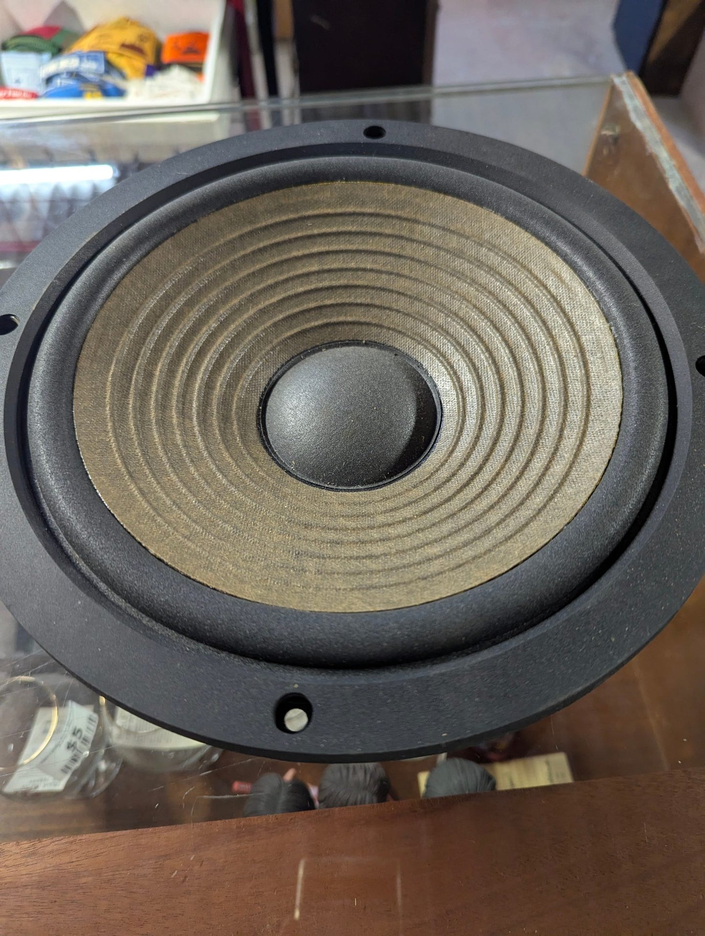 Pioneer HPM-60 10" Woofer Driver #25-730A-1