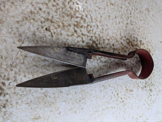 Antique Metal Sheep Shears