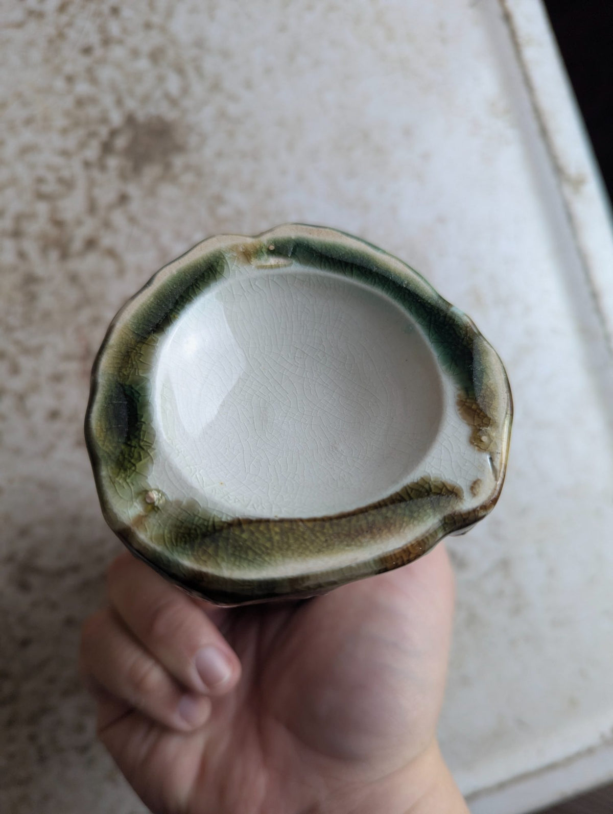 Antique 6" Majolica Nautilus Shell Bud Vase - Unmarked