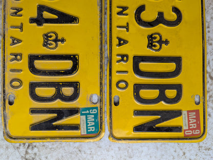 Vintage Sequential Pair of Ontario Dealer Service License Plates