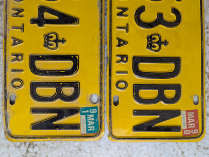 Vintage Sequential Pair of Ontario Dealer Service License Plates