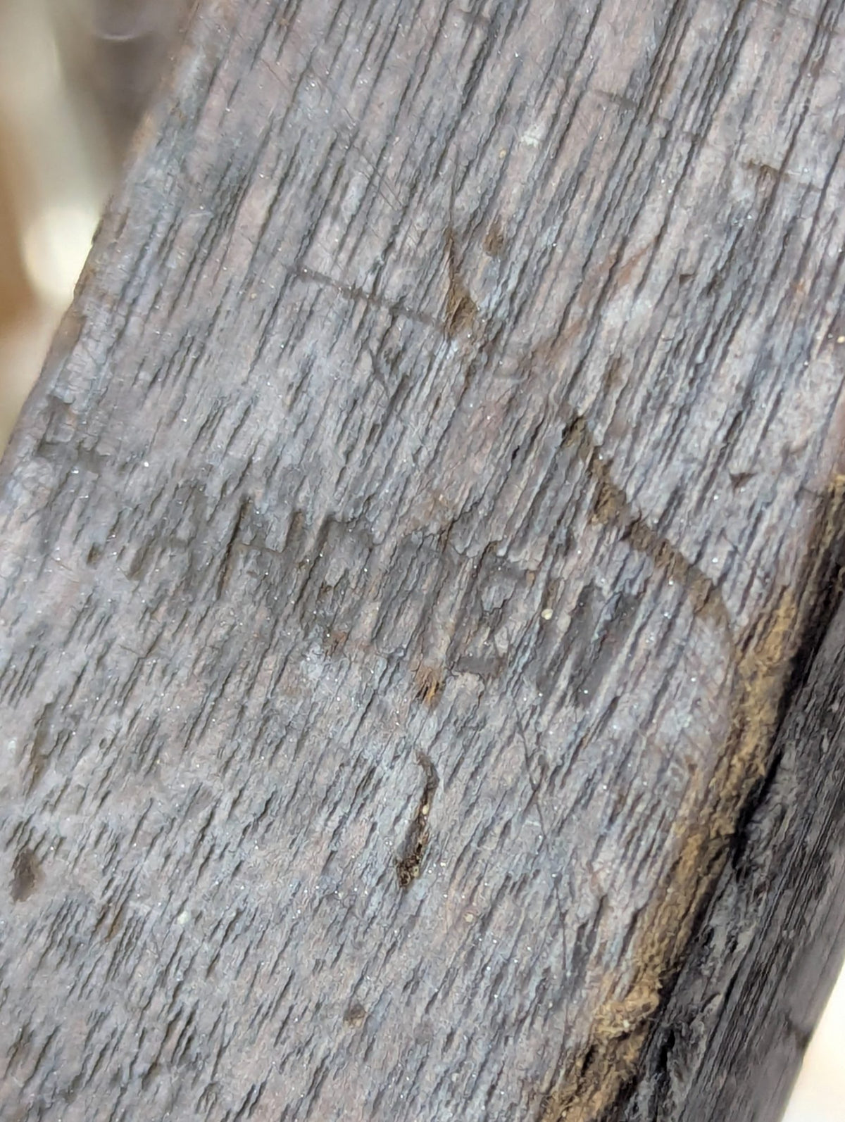 19th Century Shipwright Bevel