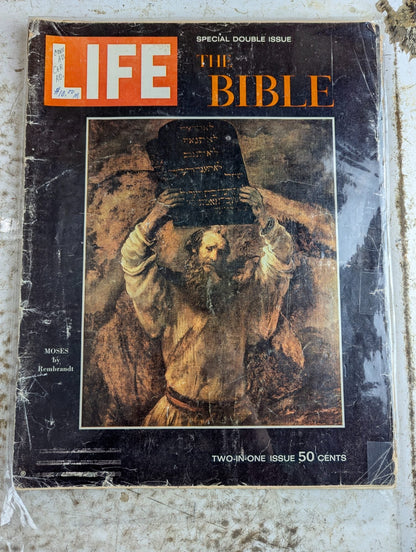 LIFE Magazine Dec 25, 1964