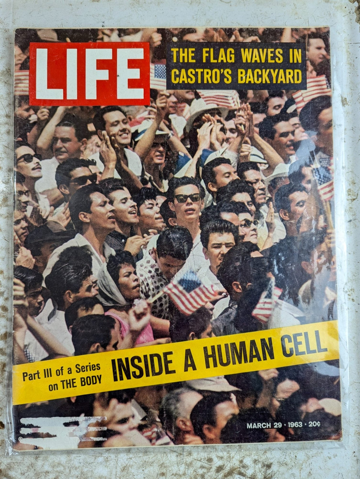 LIFE Magazine Mar 29, 1963