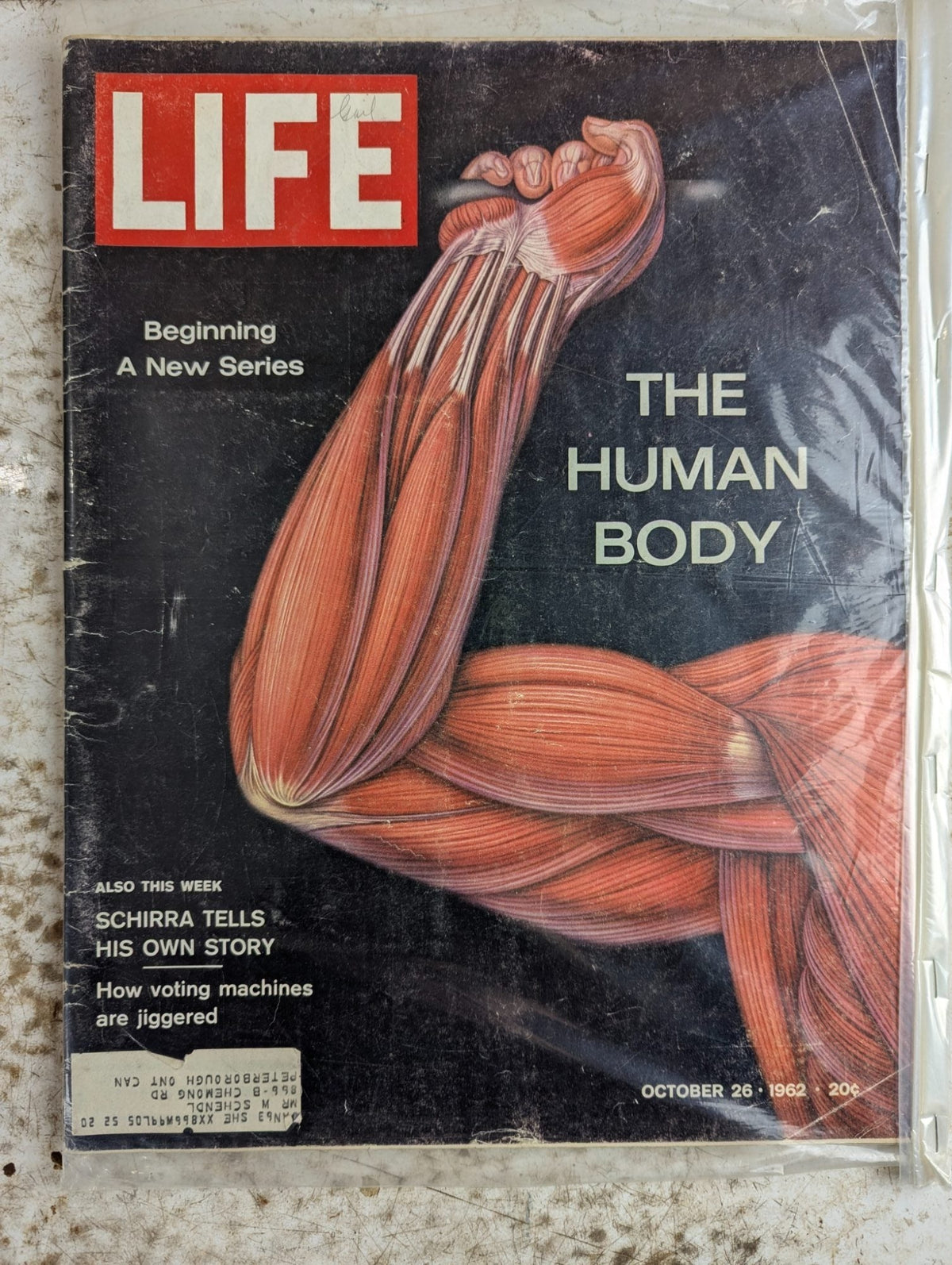LIFE Magazine Oct 26, 1962