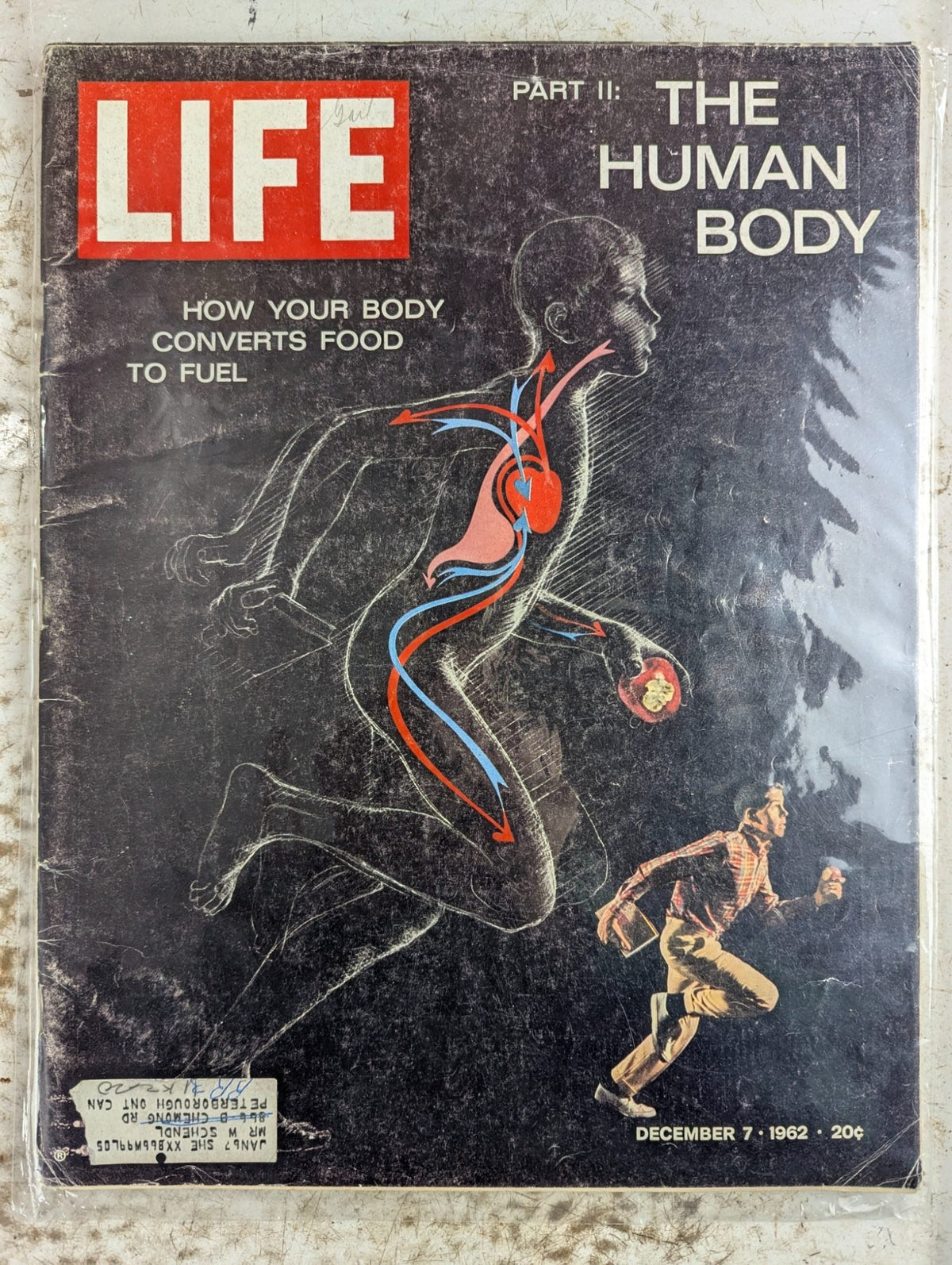 LIFE Magazine Dec 7, 1962