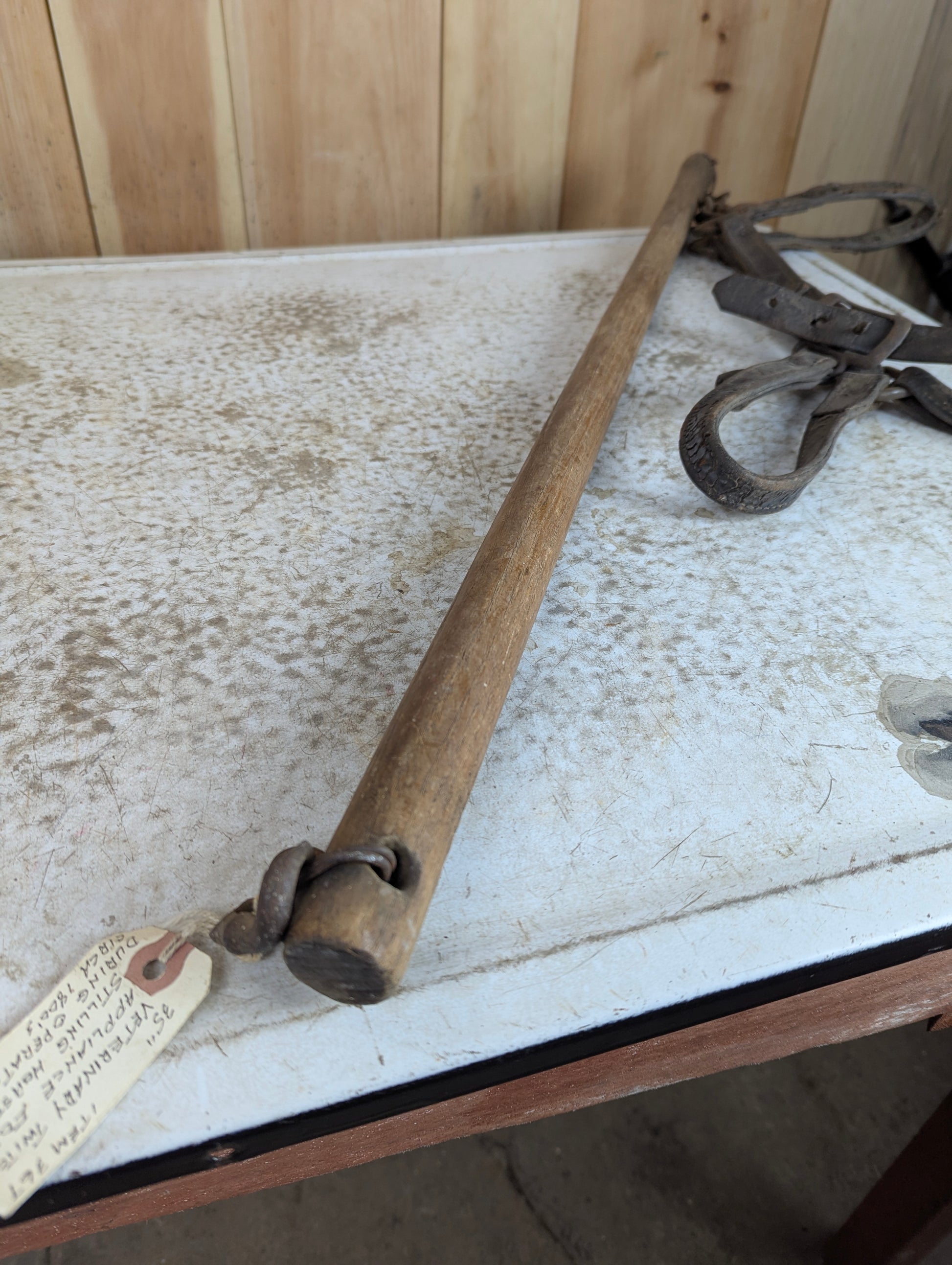 1800's - 35" Veterinary Twitch Appliance for Stilling Horse during Operations - view 2