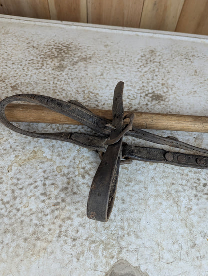 1800's - 35" Veterinary Twitch Appliance for Stilling Horse during Operations - view 4