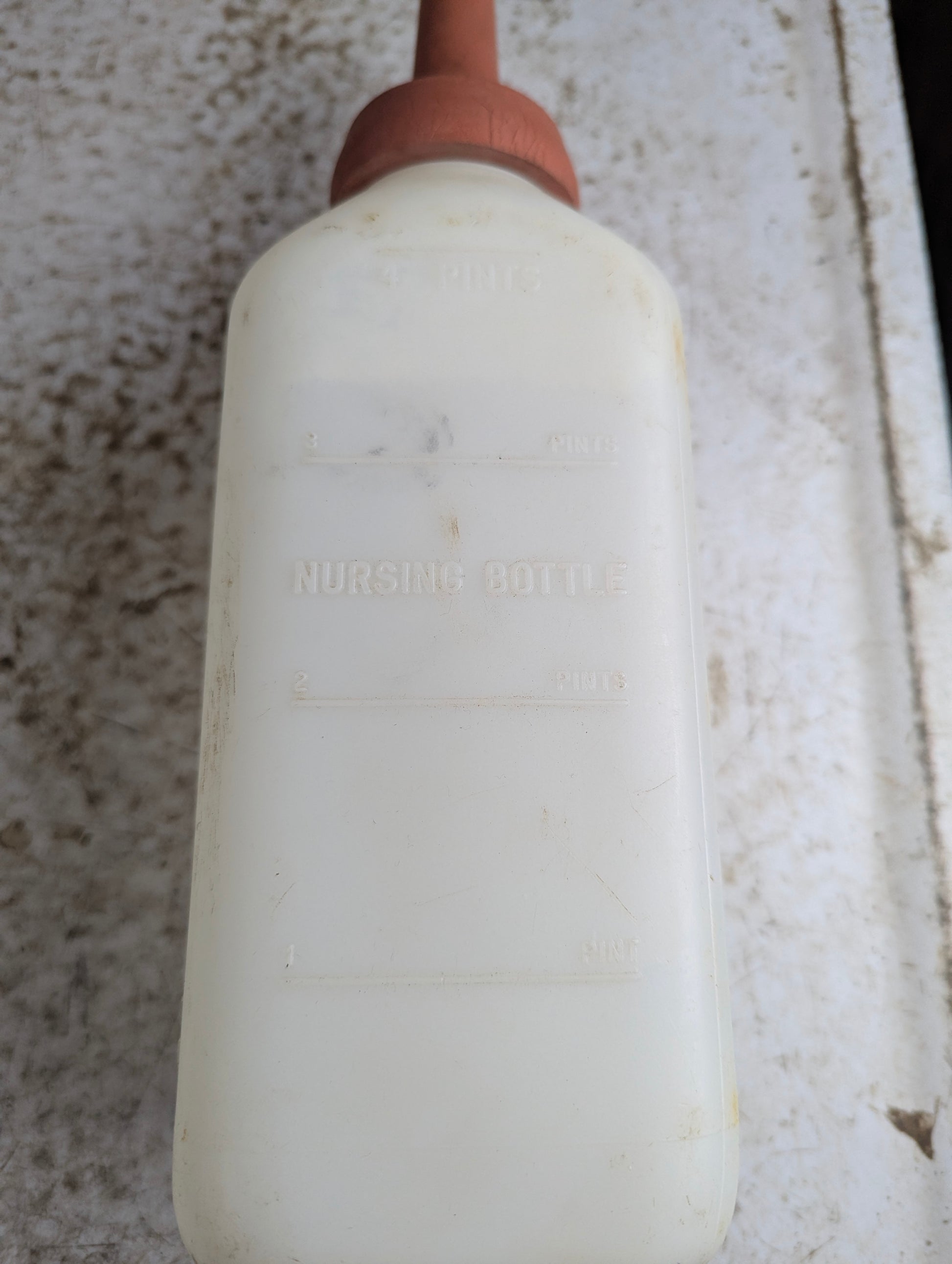 4 Pint Little Giant Calf Nursing Bottle - view 2