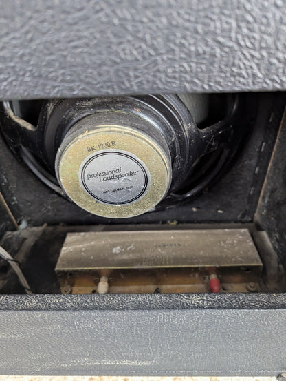 Samick Amp