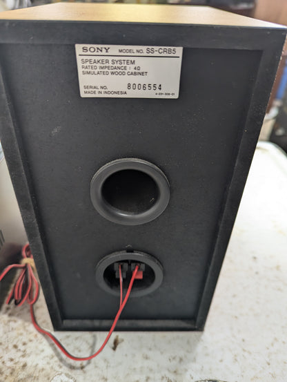 Sony Micro Hi Fi Component System CMT-RB5