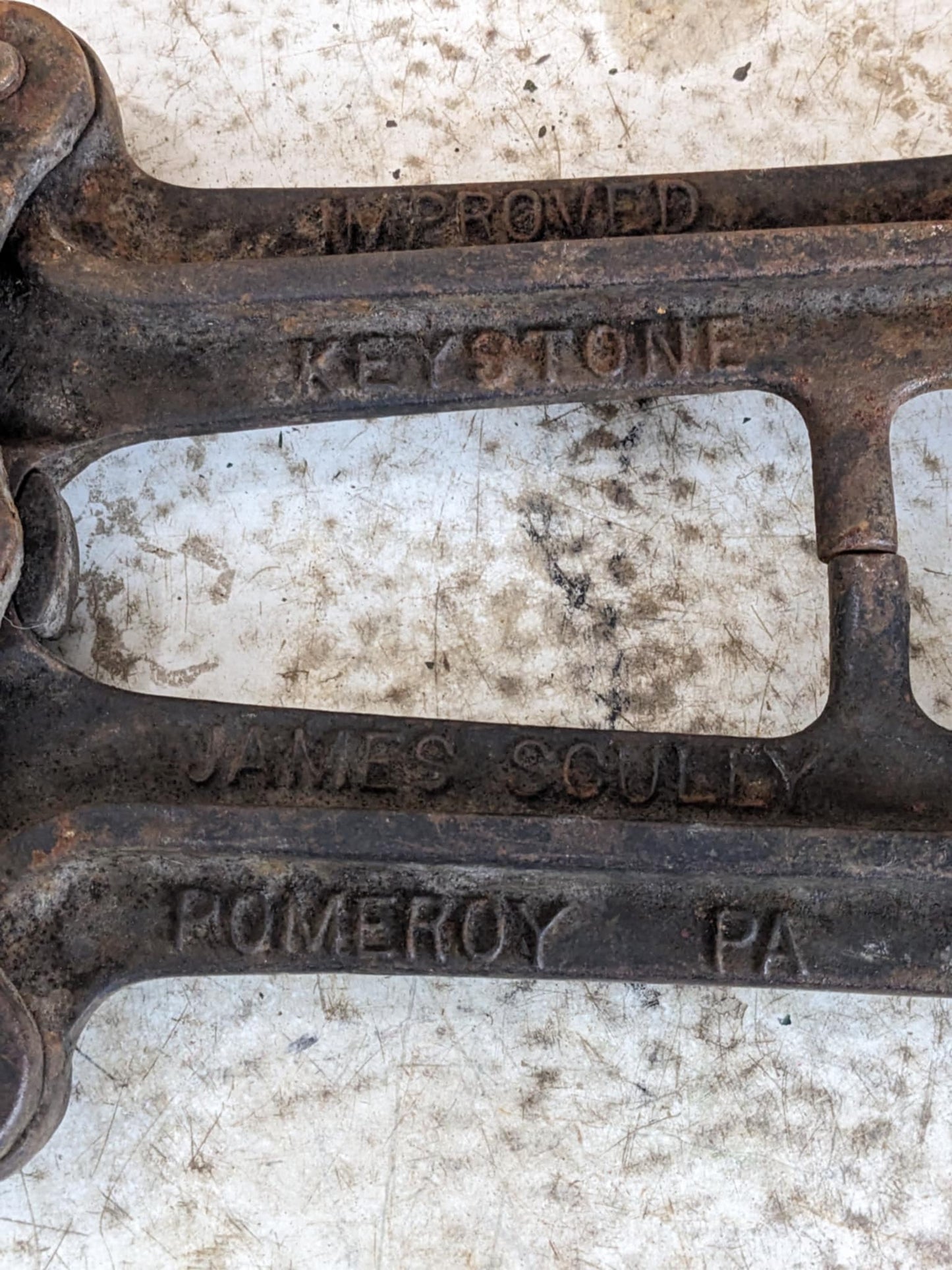 Vintage Bull DeHorner