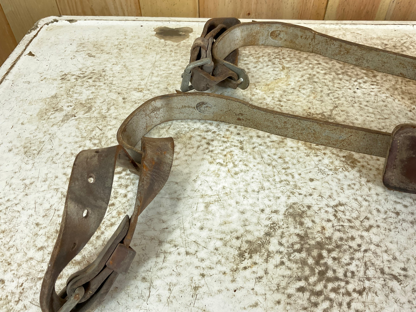 Pair of Vintage Tree Climbing Spikes