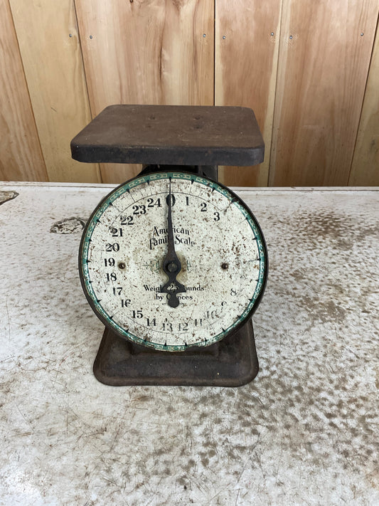 Vintage American Family Scale