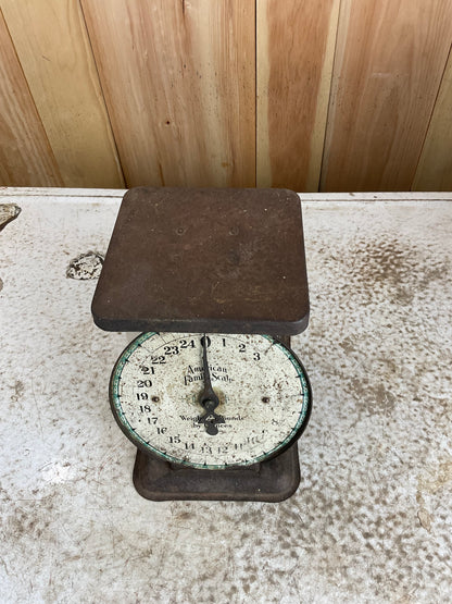 Vintage American Family Scale