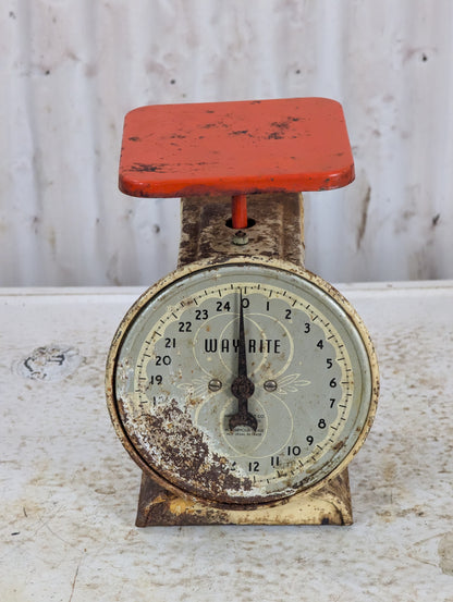Vintage Way Rite Metal Household Scale