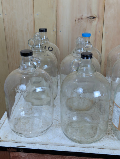 Glass Jugs