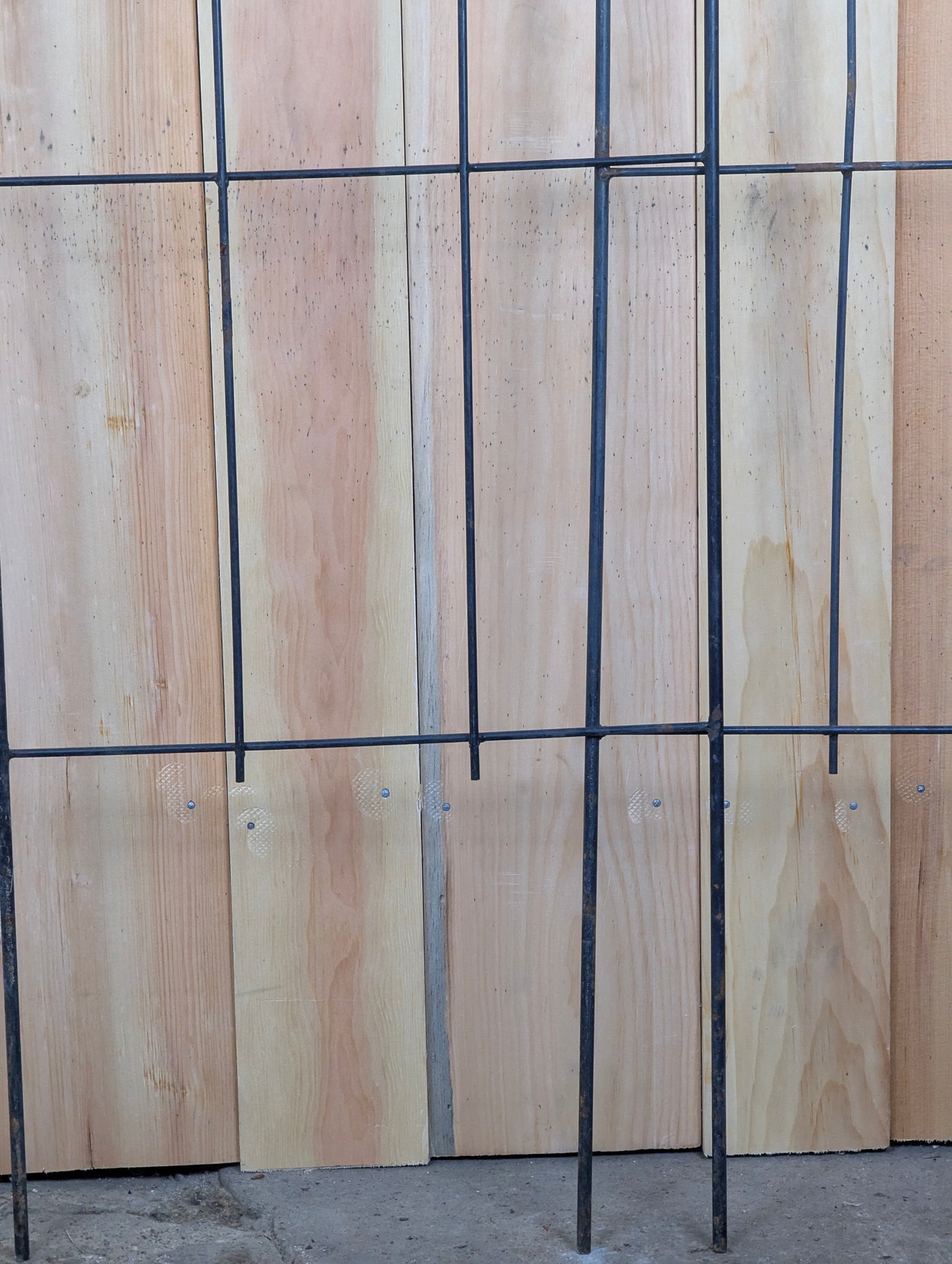 Metal Garden Trellis