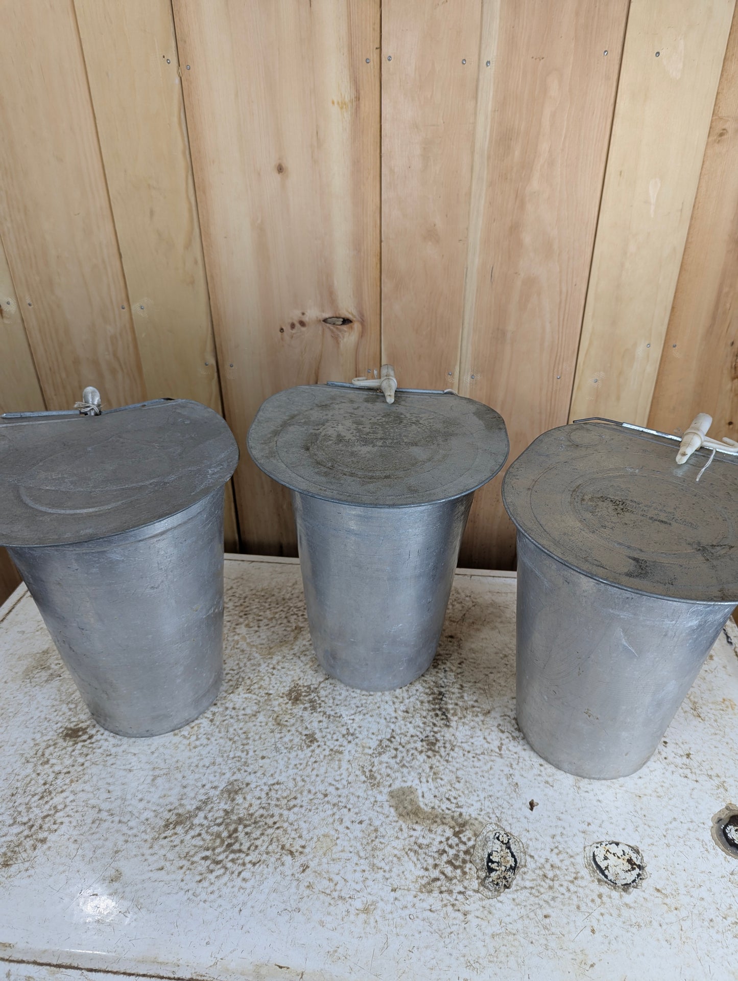 Dominion & Grimm Sap Buckets with Lids