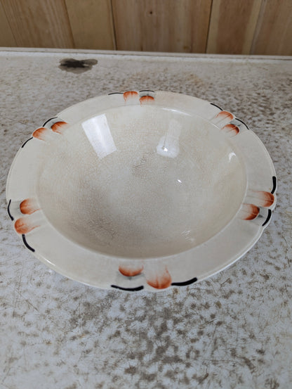 Vintage Hand Painted Myott & Son Bowl