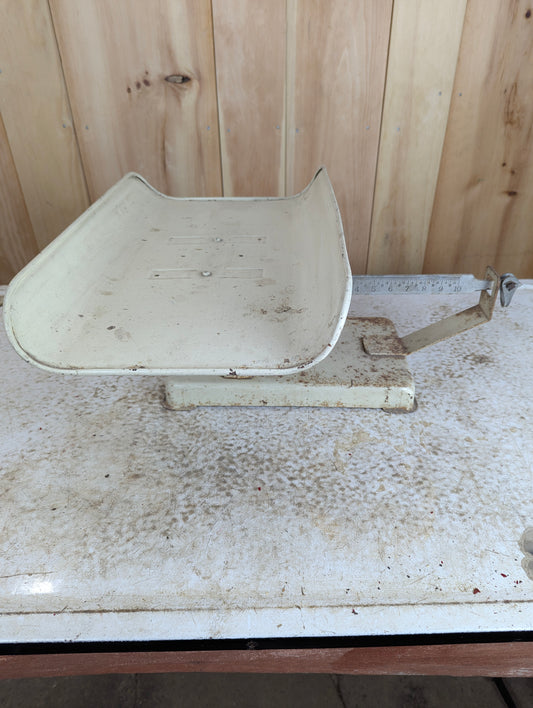 Vintage Continental Scale Corp. Household Scale