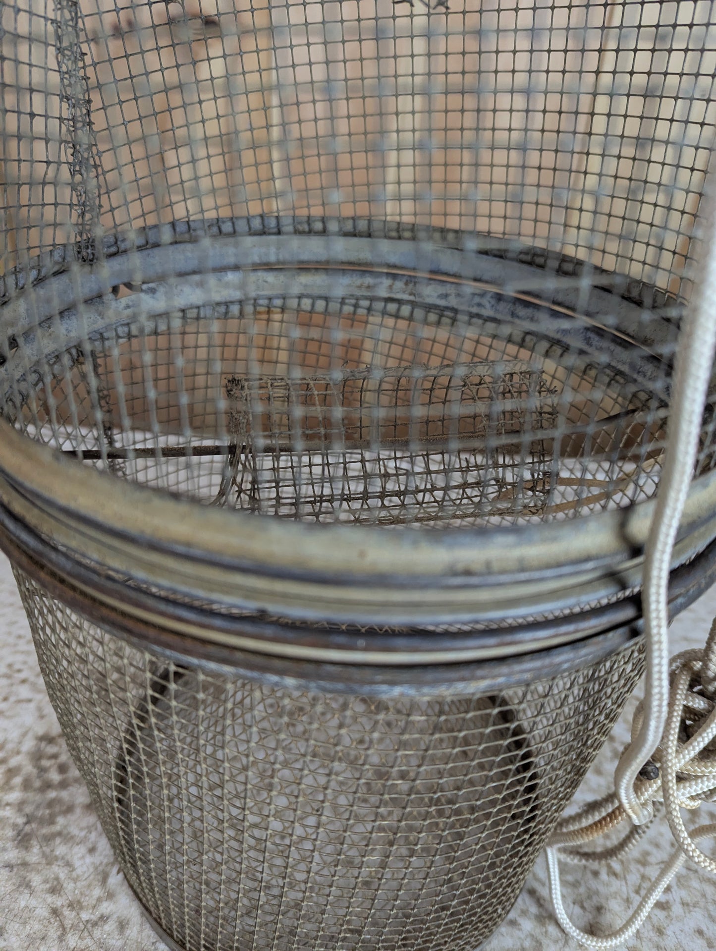 Galvanized Wire Mesh Minnow Trap