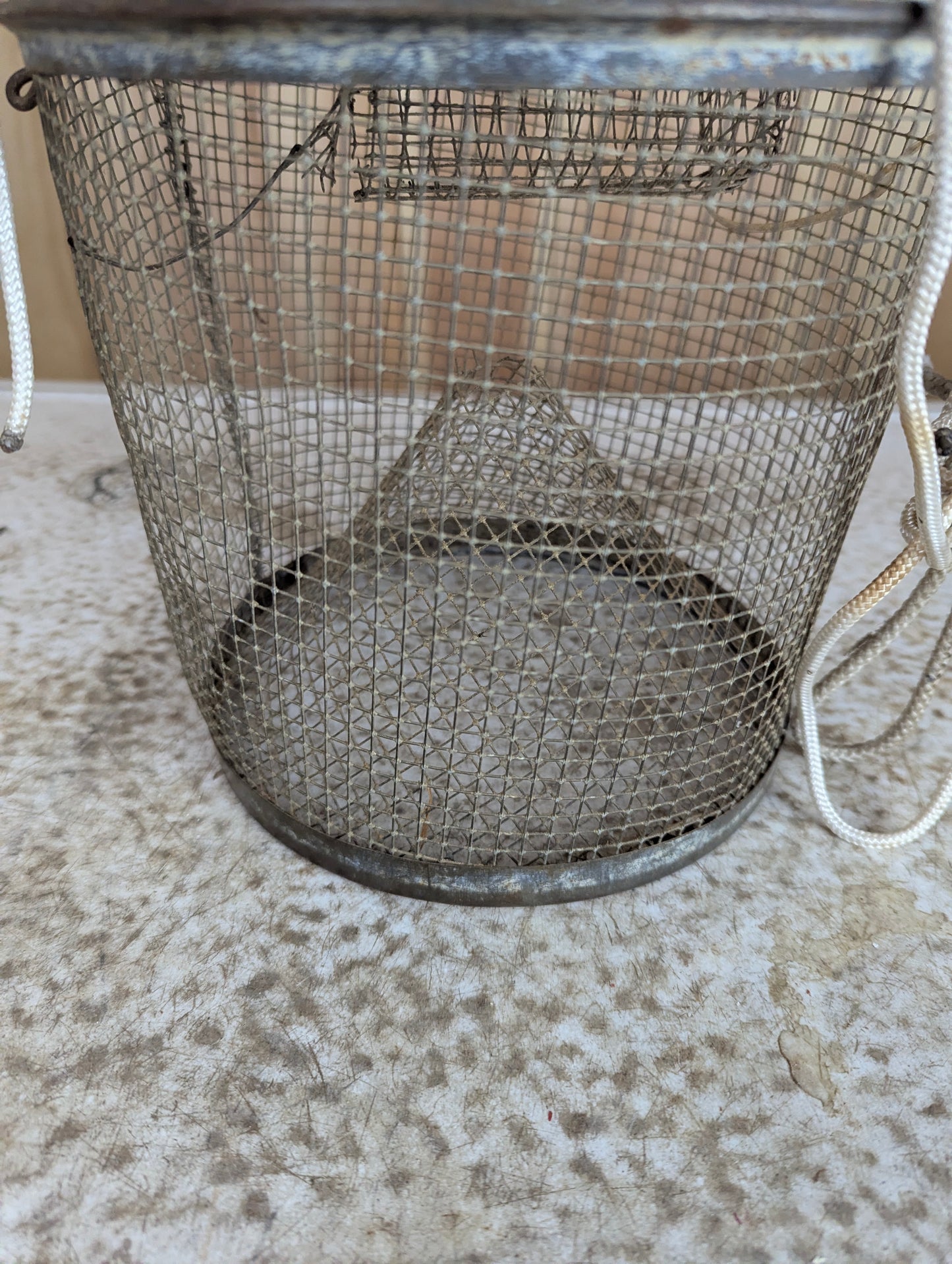 Galvanized Wire Mesh Minnow Trap