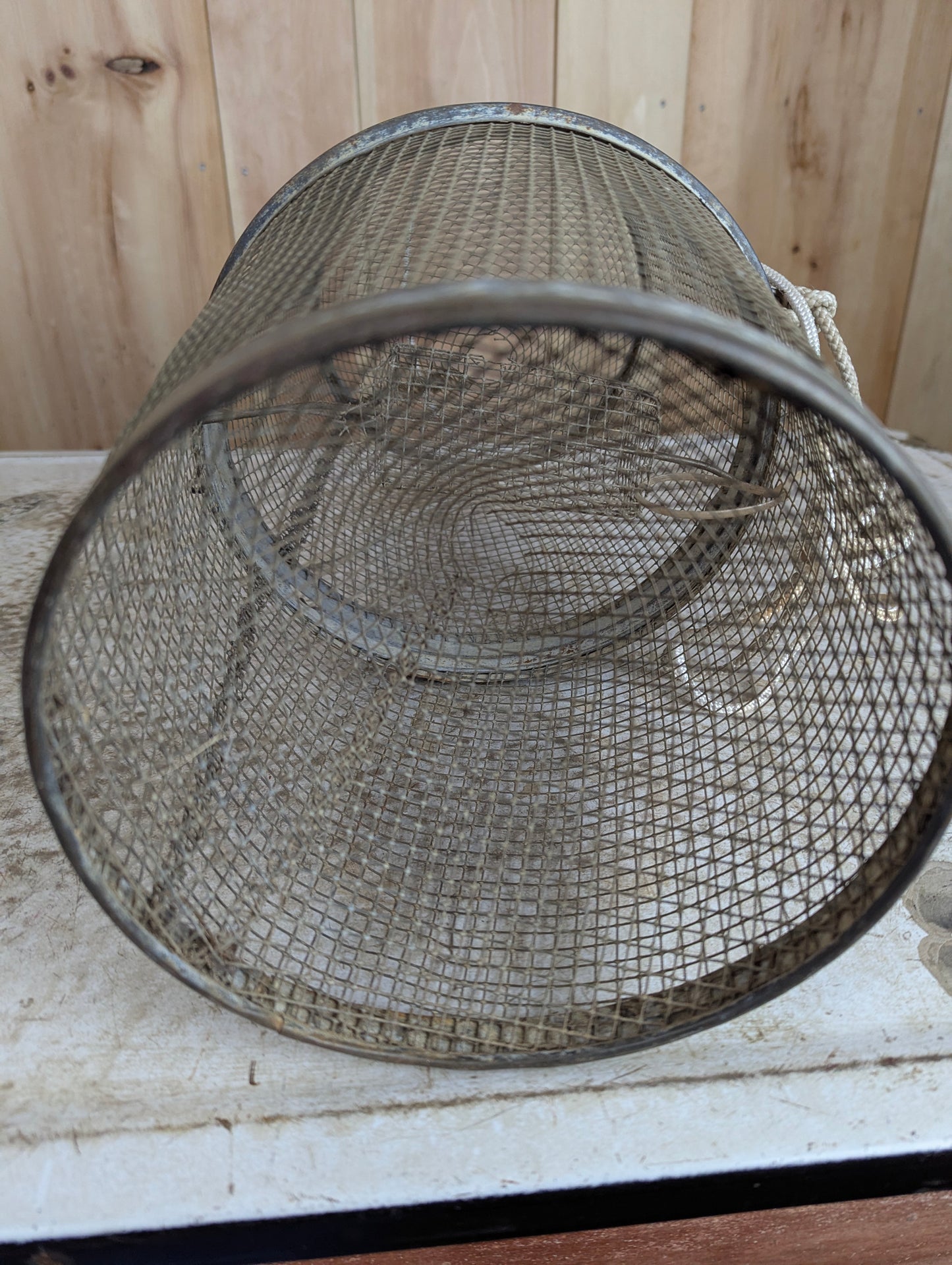 Galvanized Wire Mesh Minnow Trap