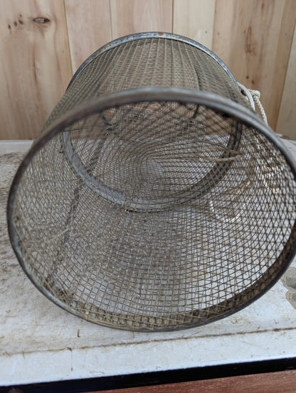 Galvanized Wire Mesh Minnow Trap
