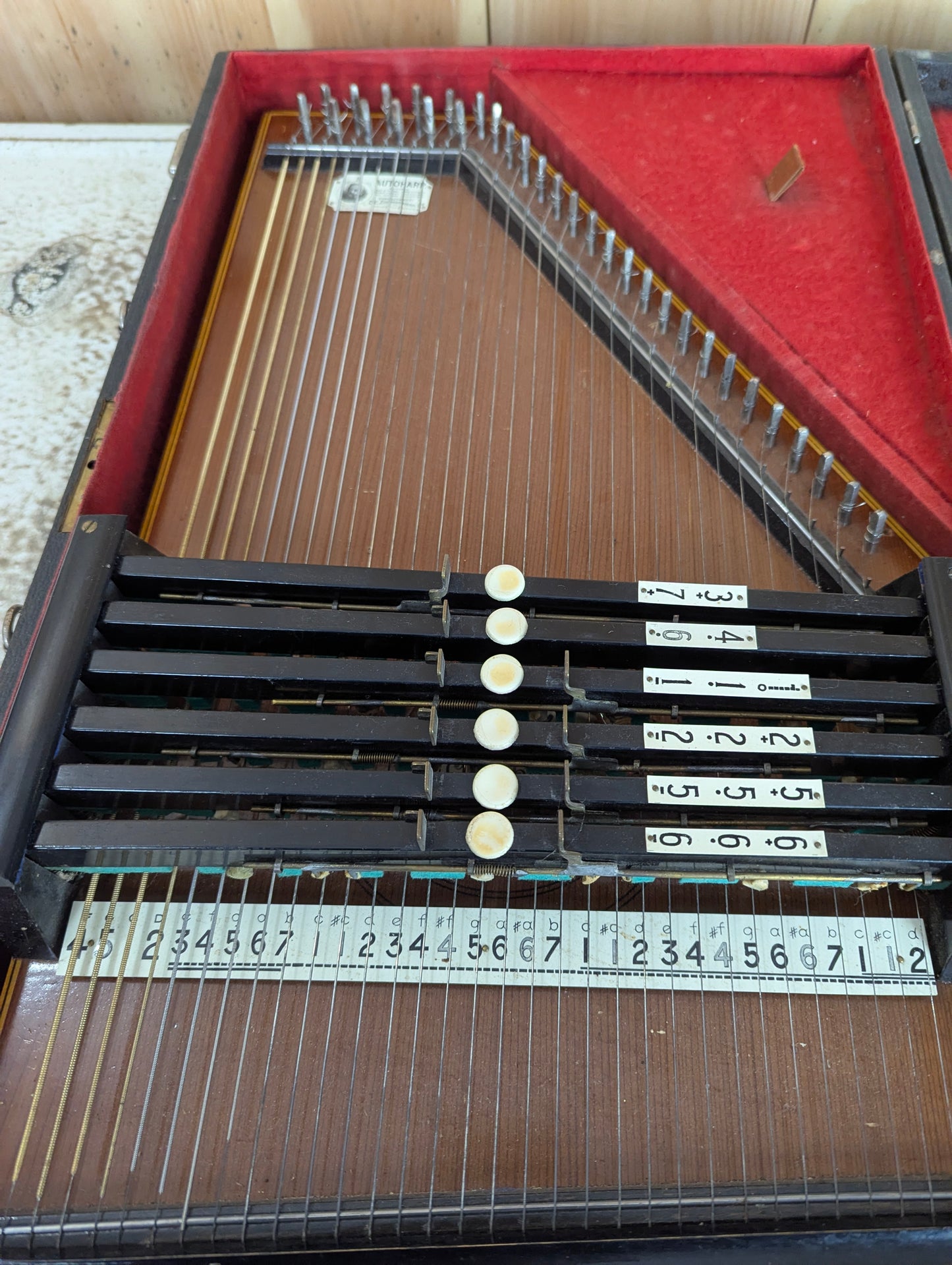 Antique Autoharp in Case