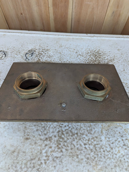 Solid Brass Wall Hydrant Fire Dept. Connection with 2 Connector Caps