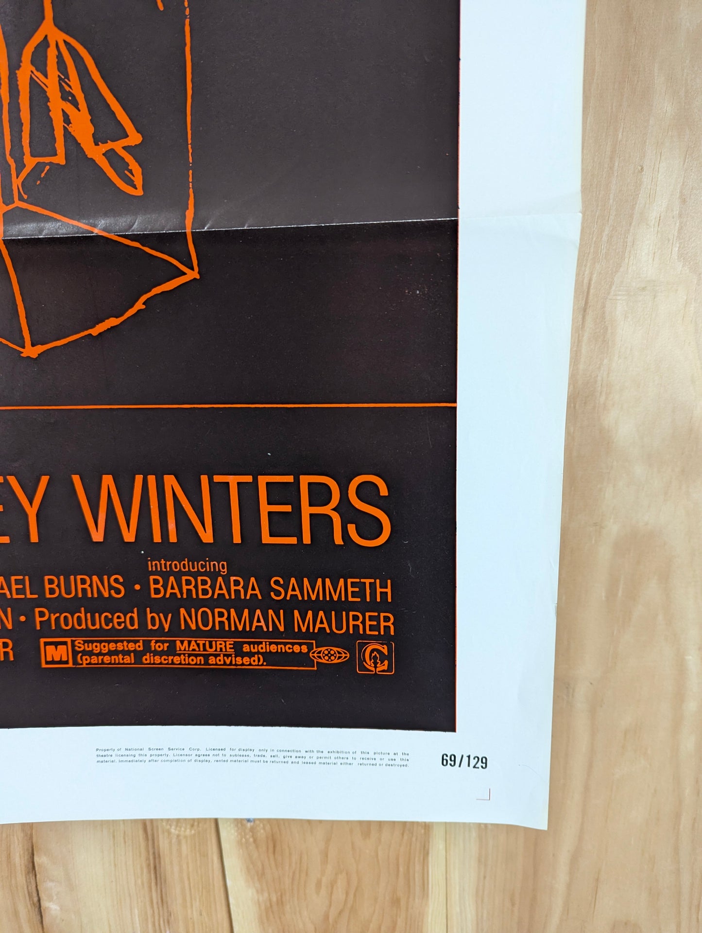 The Mad Room (1969) Original Folded One Sheet Movie Poster