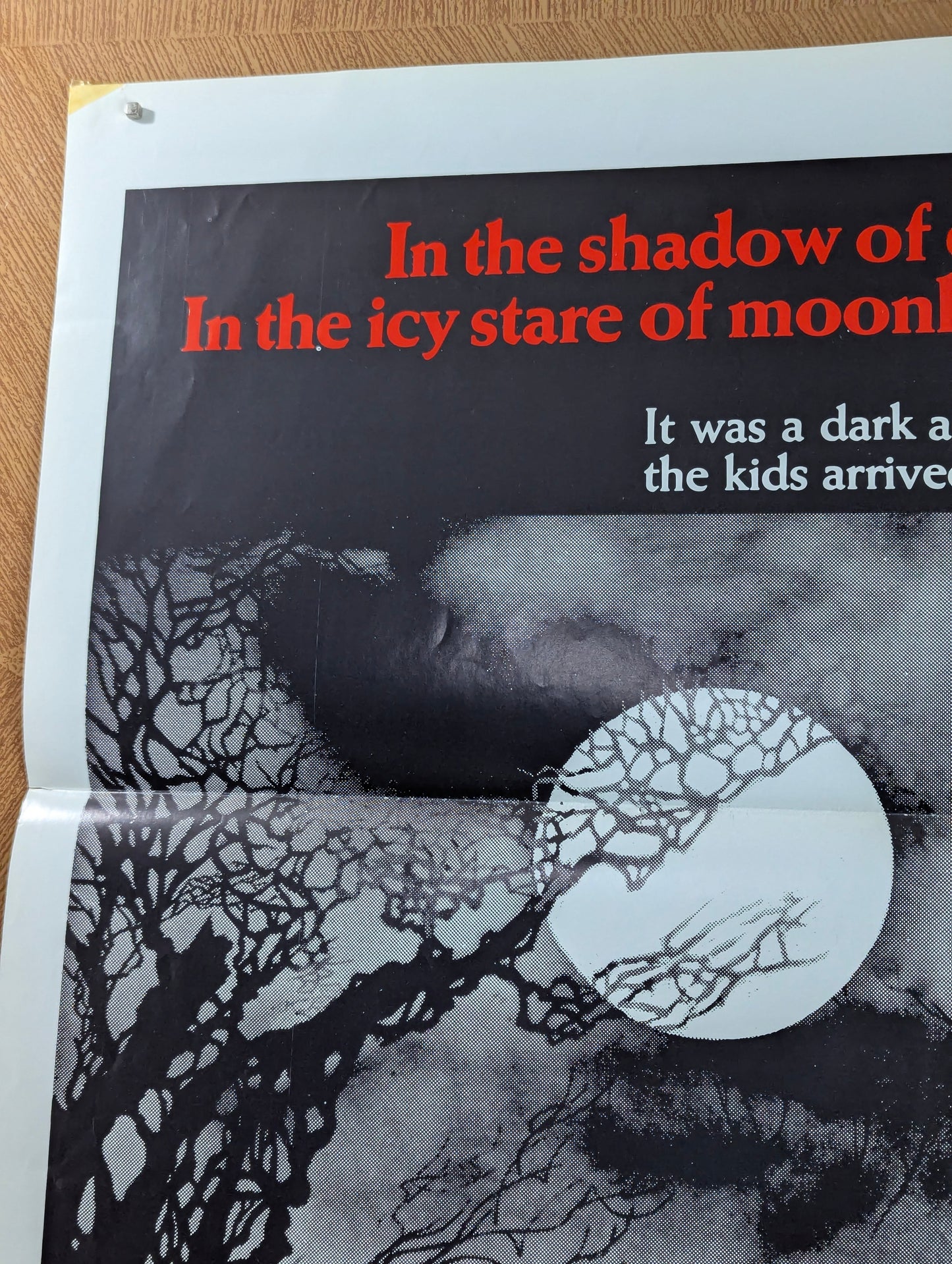 Screams of a Winter Night (1979) Original Folded One Sheet Movie Poster