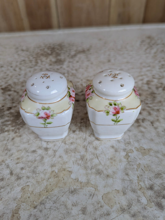 Set of Antique Hand Painted Nippon Porcelain Salt and Pepper Shakers